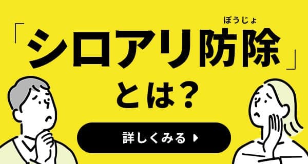 シロアリ予防とは？