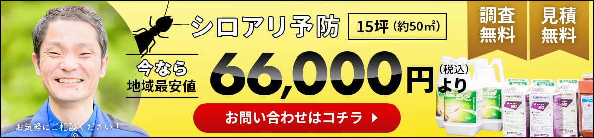シロアリ予防地域最安値、66,000円(税込)より。PCバナー
